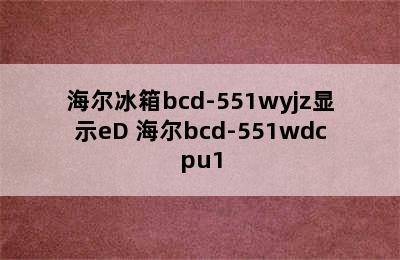 海尔冰箱bcd-551wyjz显示eD 海尔bcd-551wdcpu1